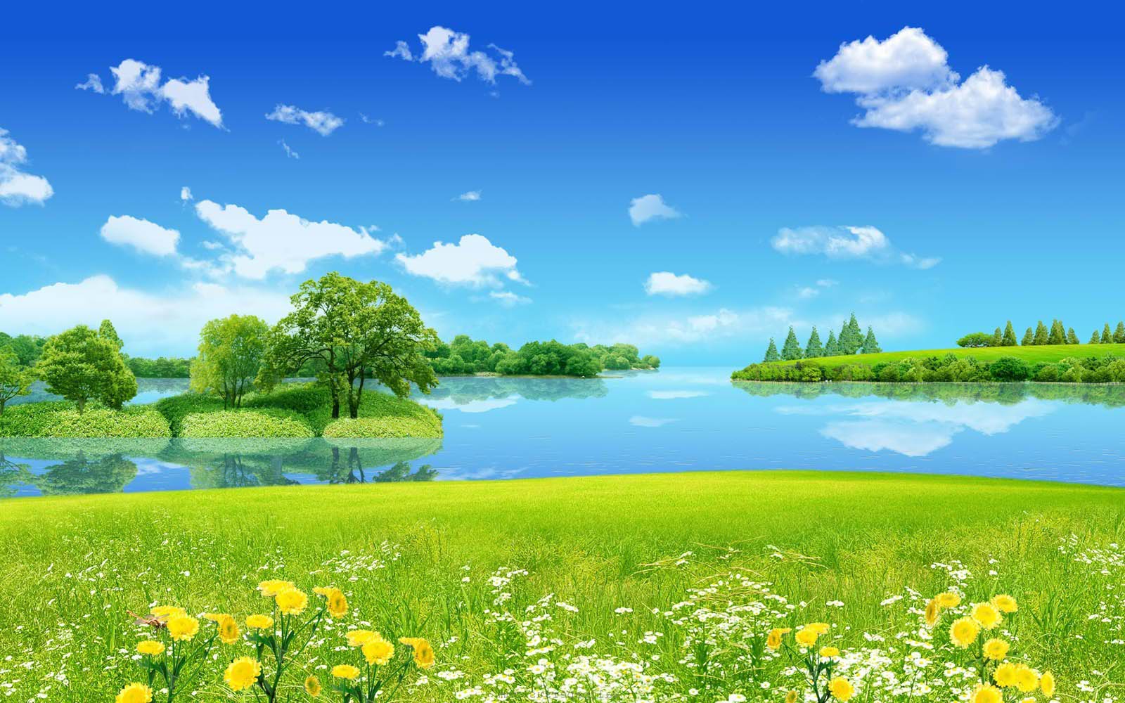 Nature Background Image Collection For