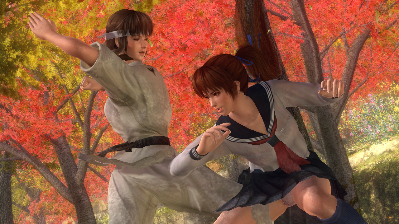 Dead Or Alive Ultimate Kasumi Vs Hitomi By Existingbox9 On