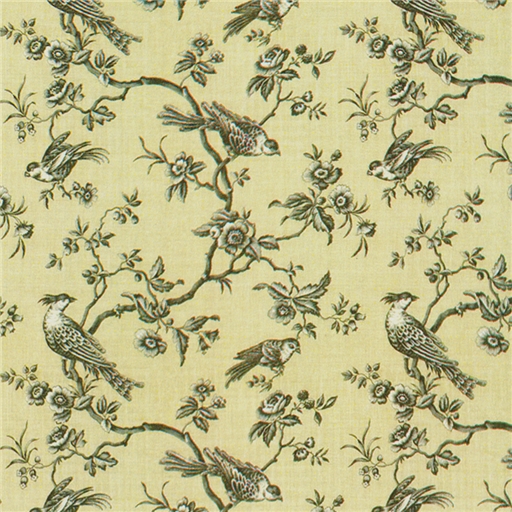 Related Pictures Black Toile Wallpaper Border By Jojo Designs