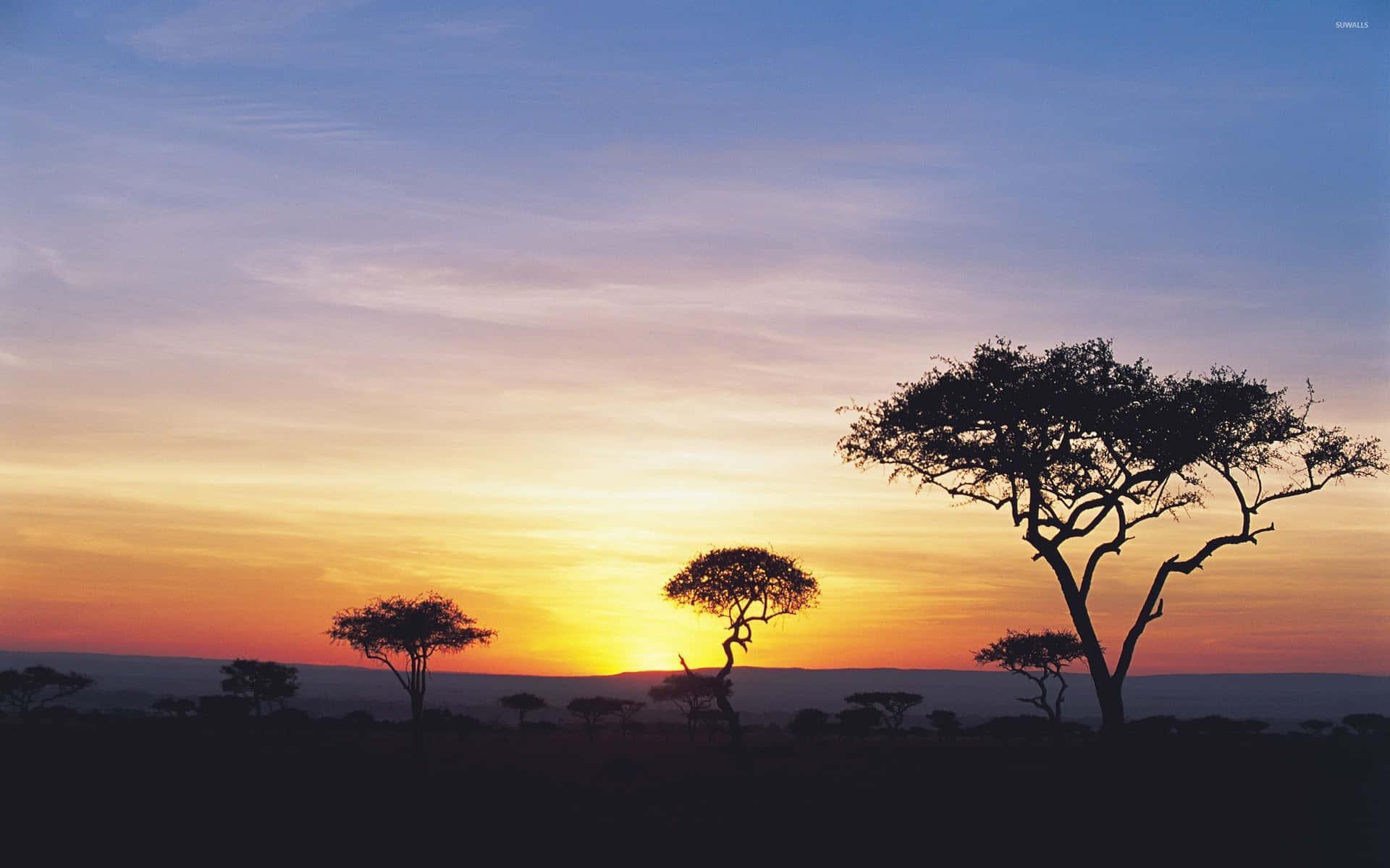 Download Sunset Skyline On Safari Background