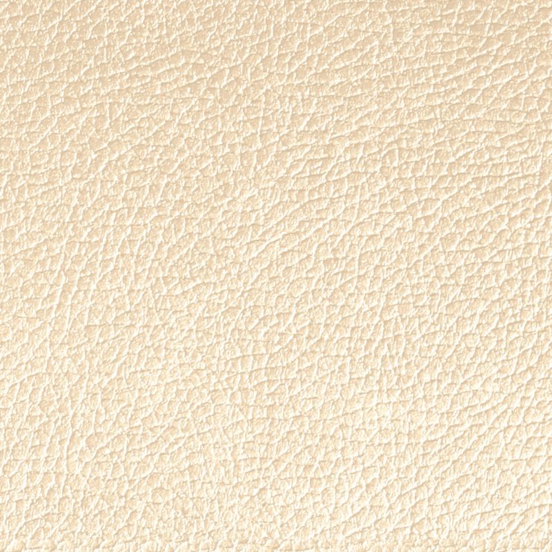 Wallfashion by Grandeco Impala Paste The Wall Wallpaper Cream