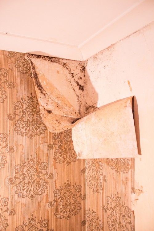 Free download STEAM updated links by raeossom29 [800x450] for your