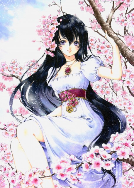 Cherry Blossom Wallpaper Anime