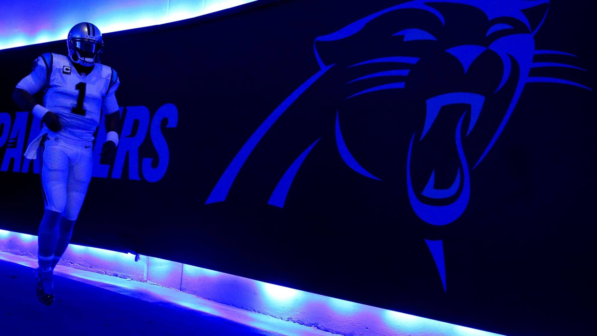 Top Carolina Panthers Wallpaper Full HD 4k To Use