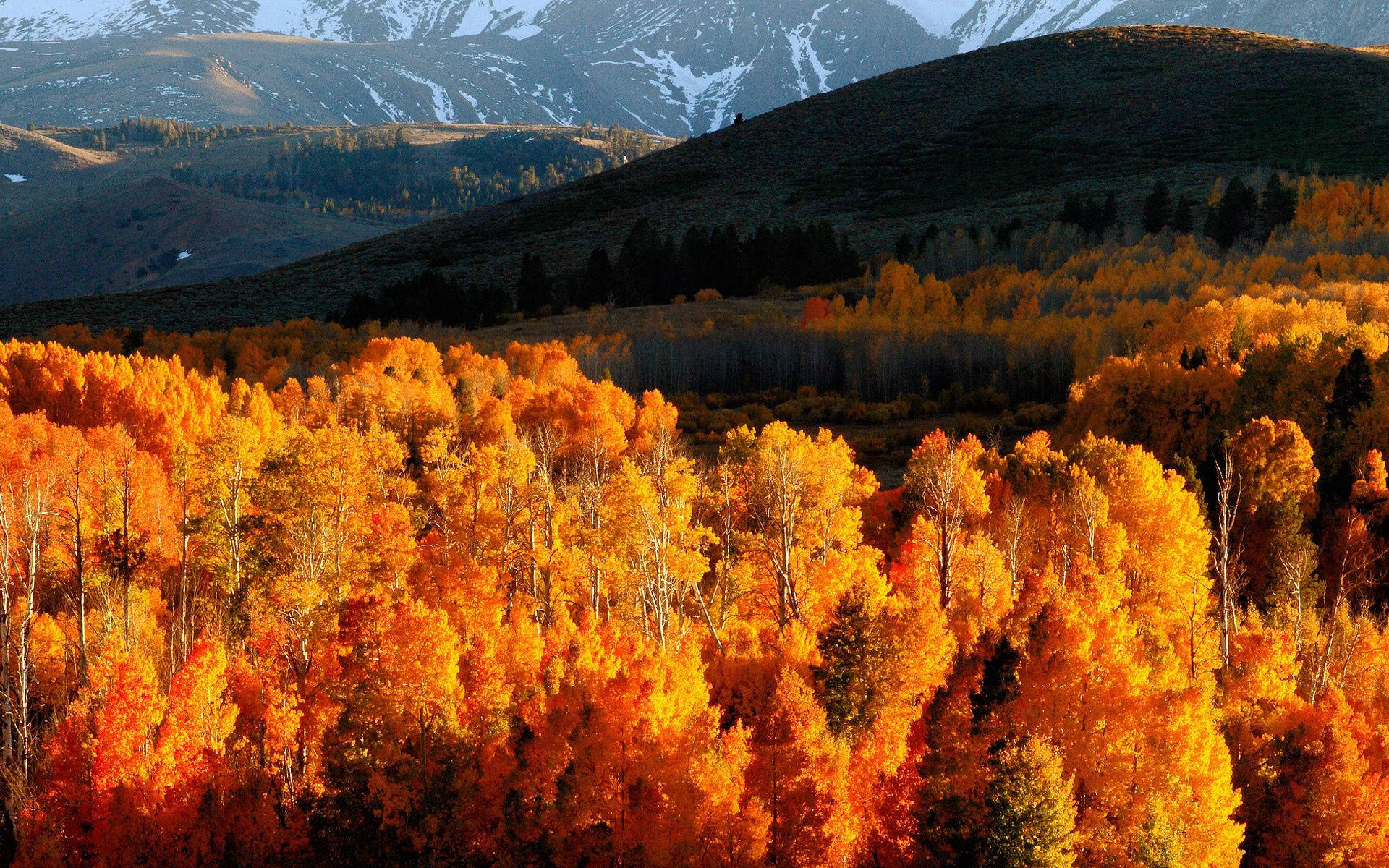 October Wallpaper HD