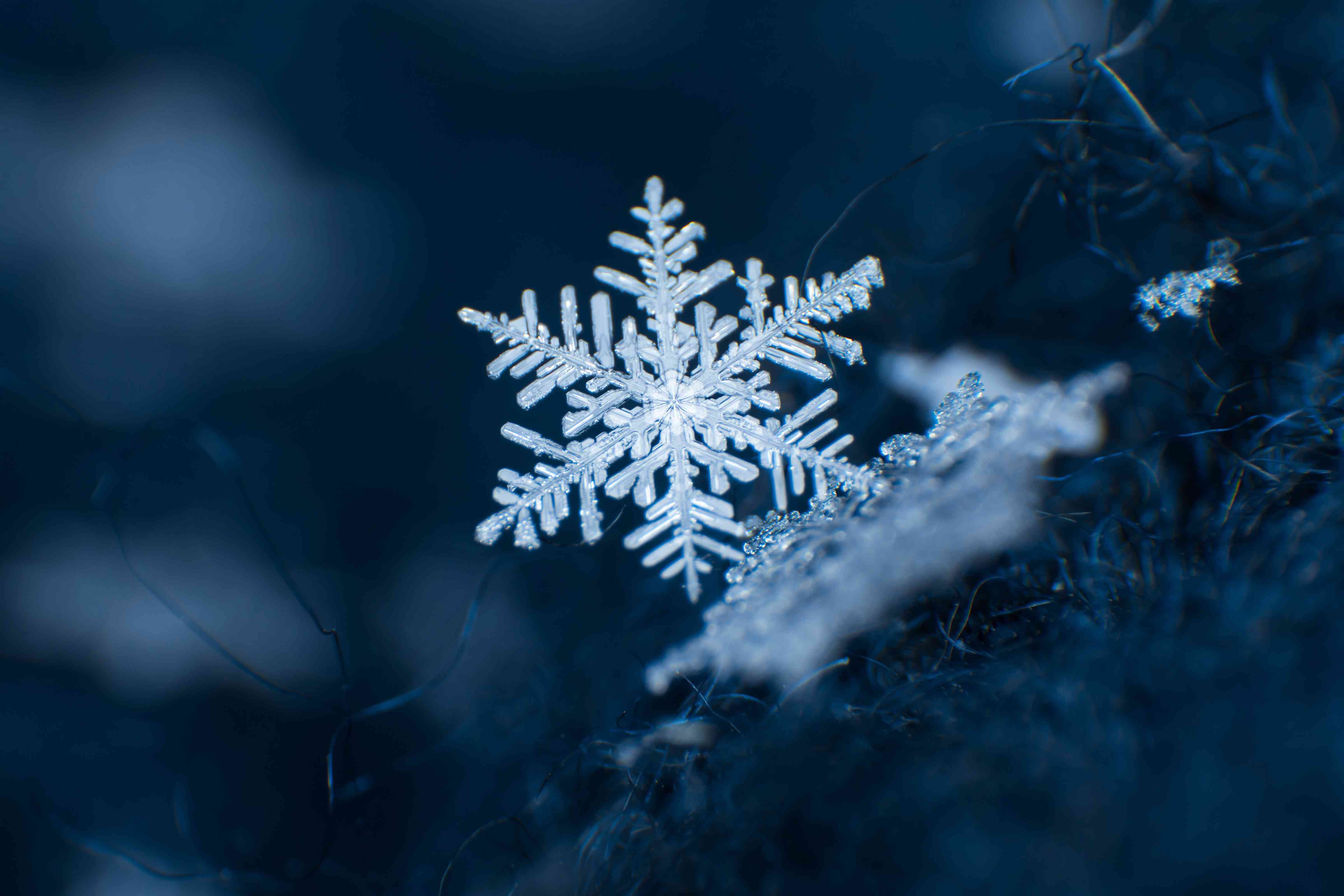 Perfect Snowflakes Captured In Photos Wallpaper