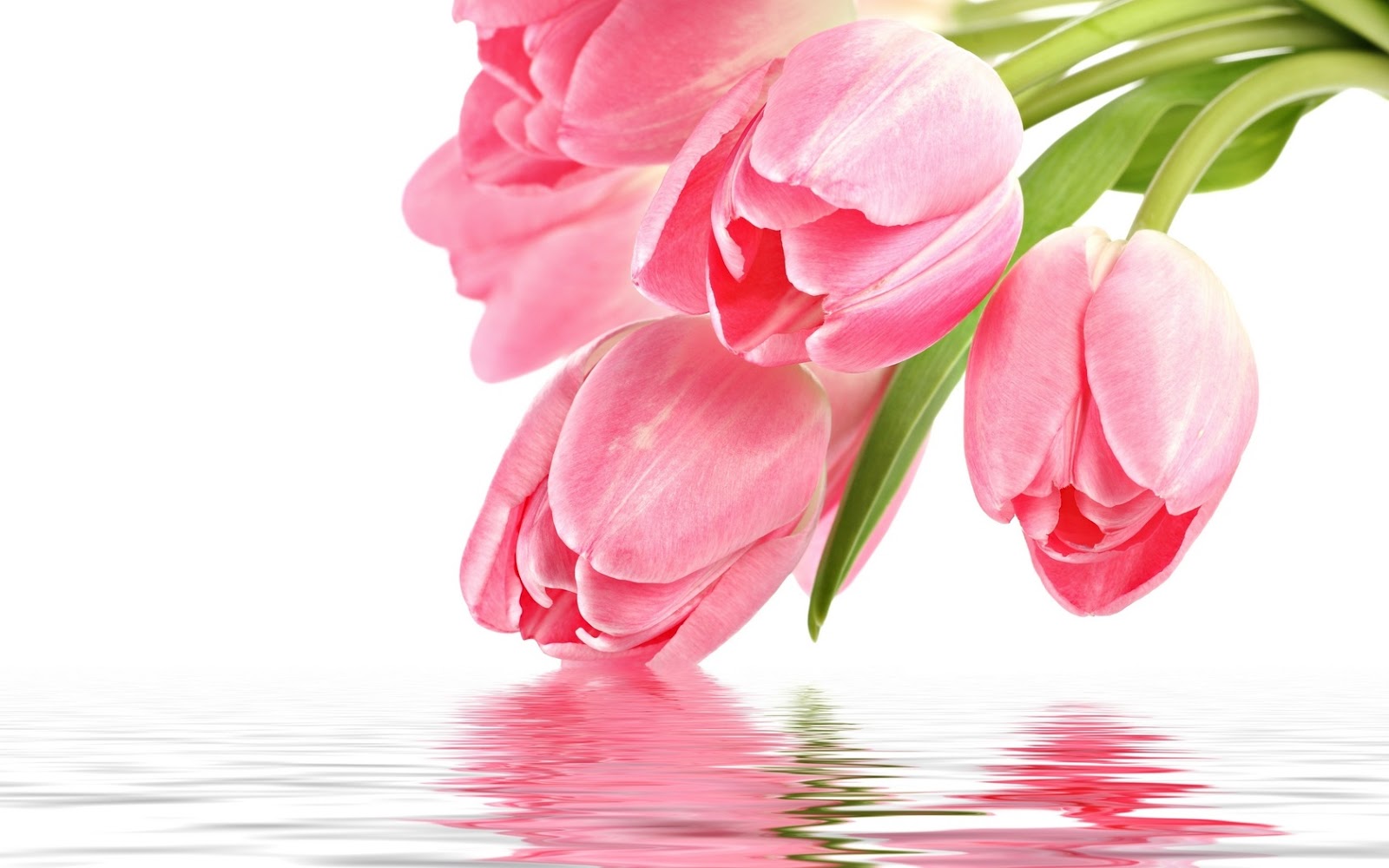 Bella Foto De Un Ramo Tulipanes Rosados Reflejado En Agua