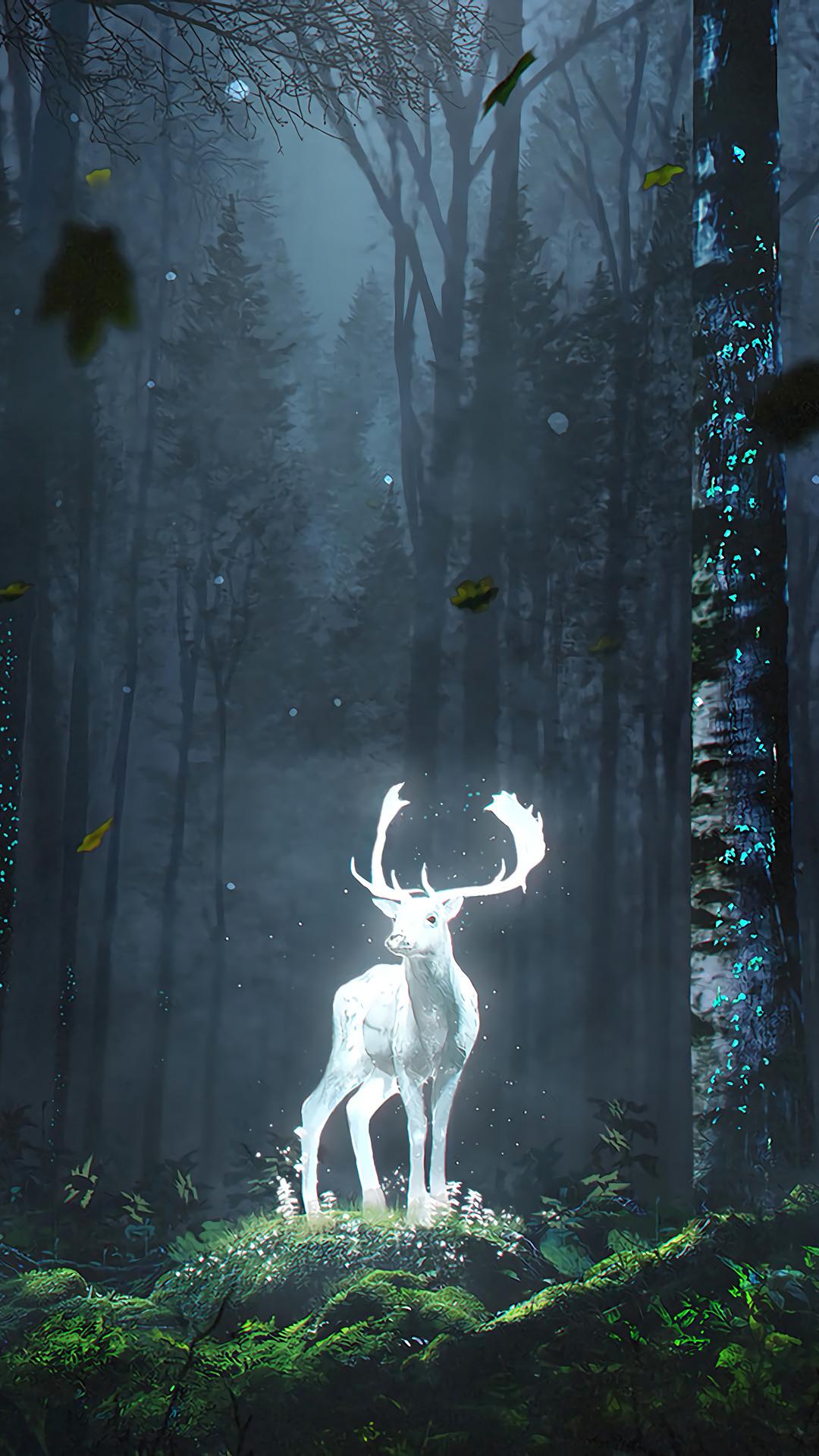 Deer Forest Night Nature Fantasy HD 4k Wallpaper