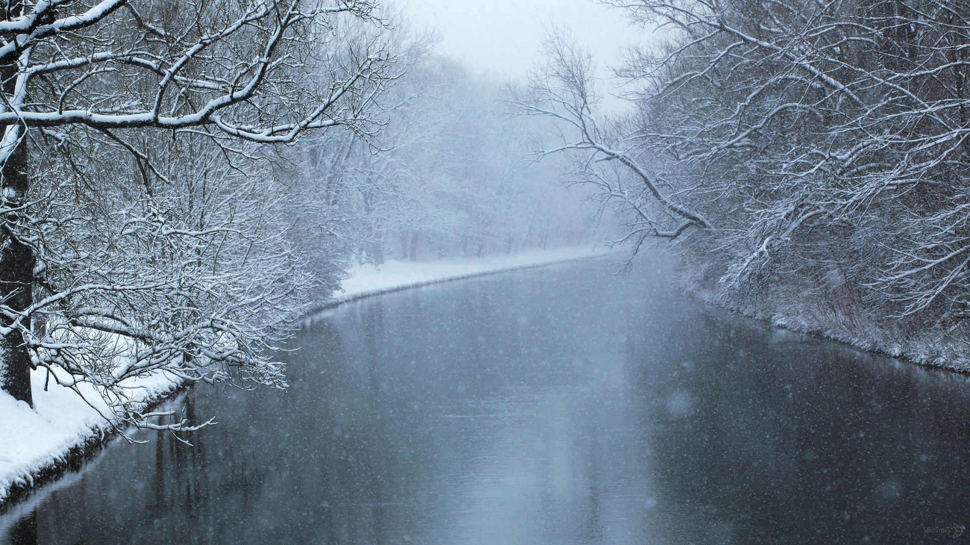 Winter Forest Phone Wallpaper