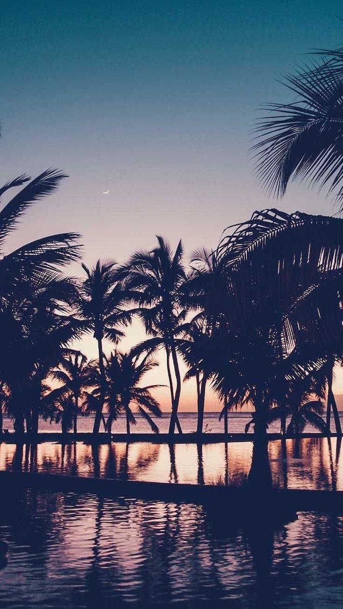 Sunset Sky Girly Wallpaper Black Palm Trees In The Water