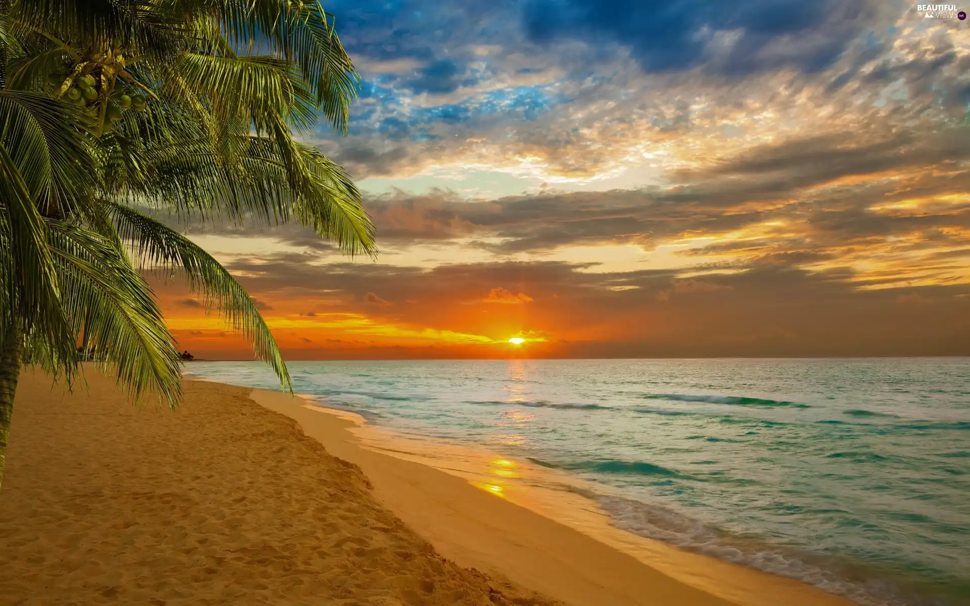 Great Sunsets Beaches Palms Sea Wallpaper