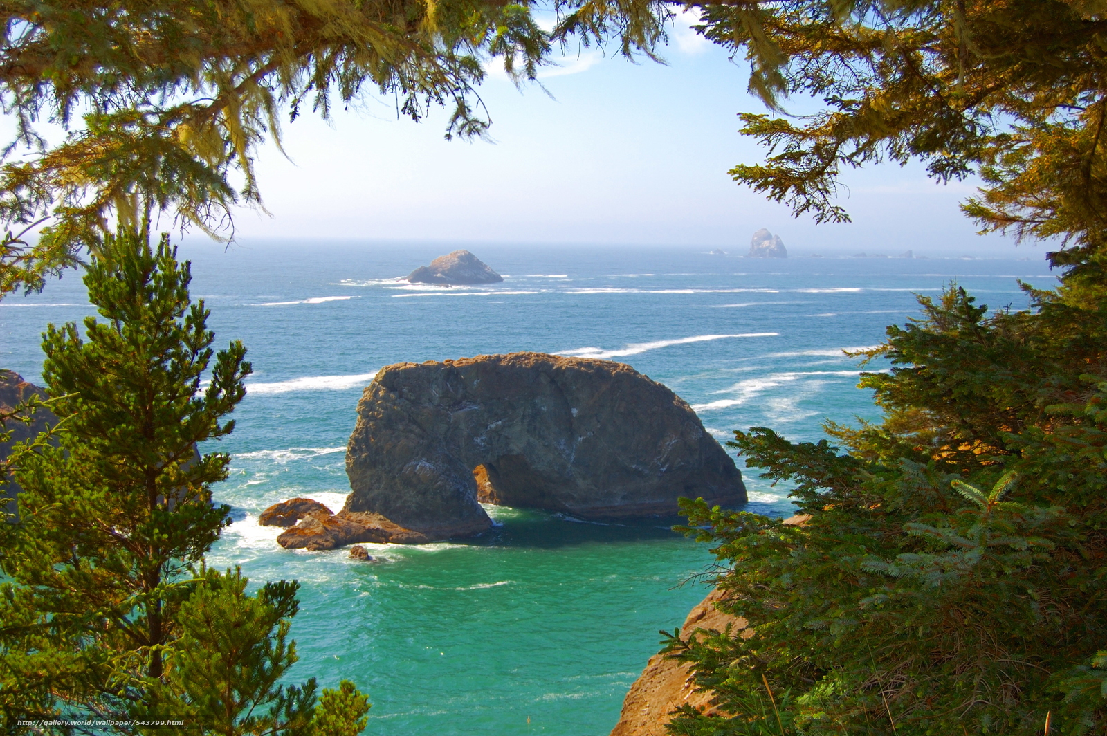 Wallpaper Pacific Coast Oregon Ocean Rocks Desktop