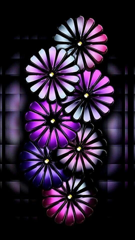 Black And Pink Purple Wallpaper