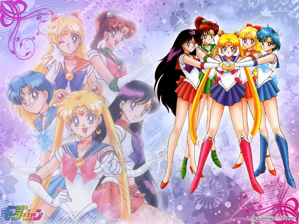 Sailor Senshi   Sailor Moon Wallpaper 23589240
