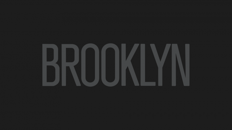 Brooklyn Nets Team Logo Wallpapers   18P
