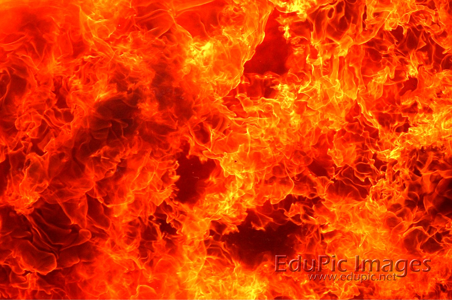 Fire Desktop Image