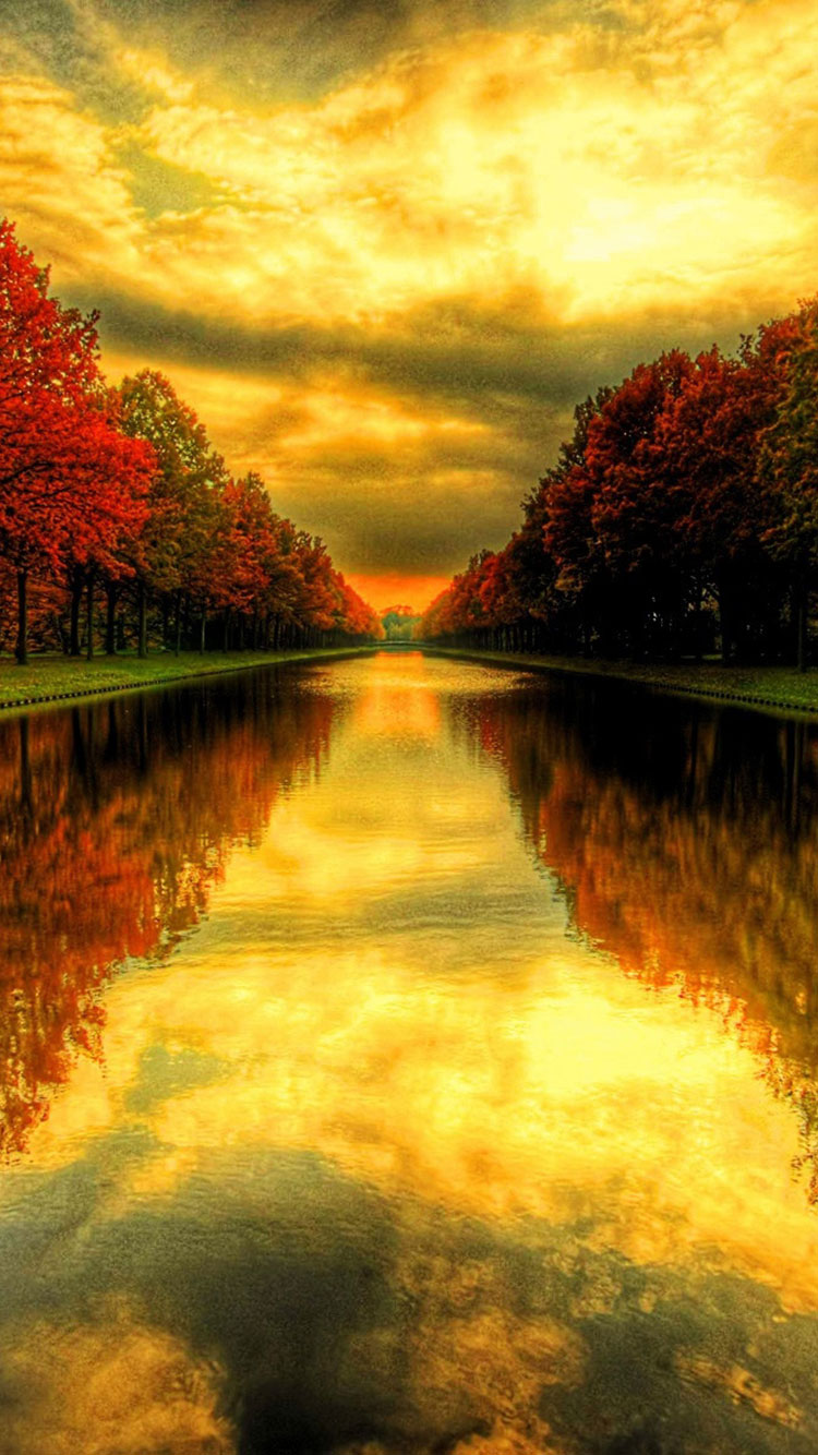 Beautiful iPhone Fall Background HD Wallpaper