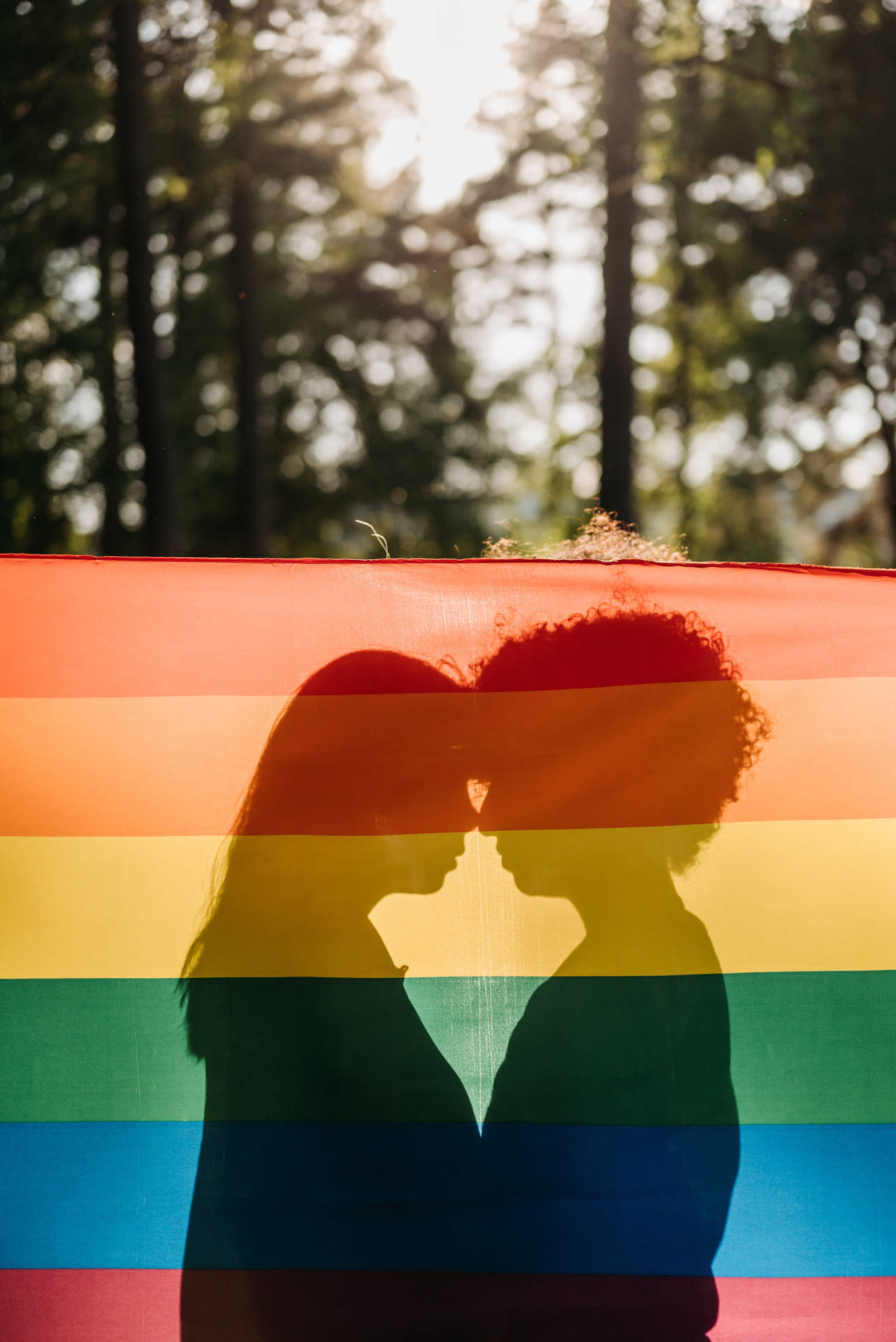 Pride Flag Wallpaper