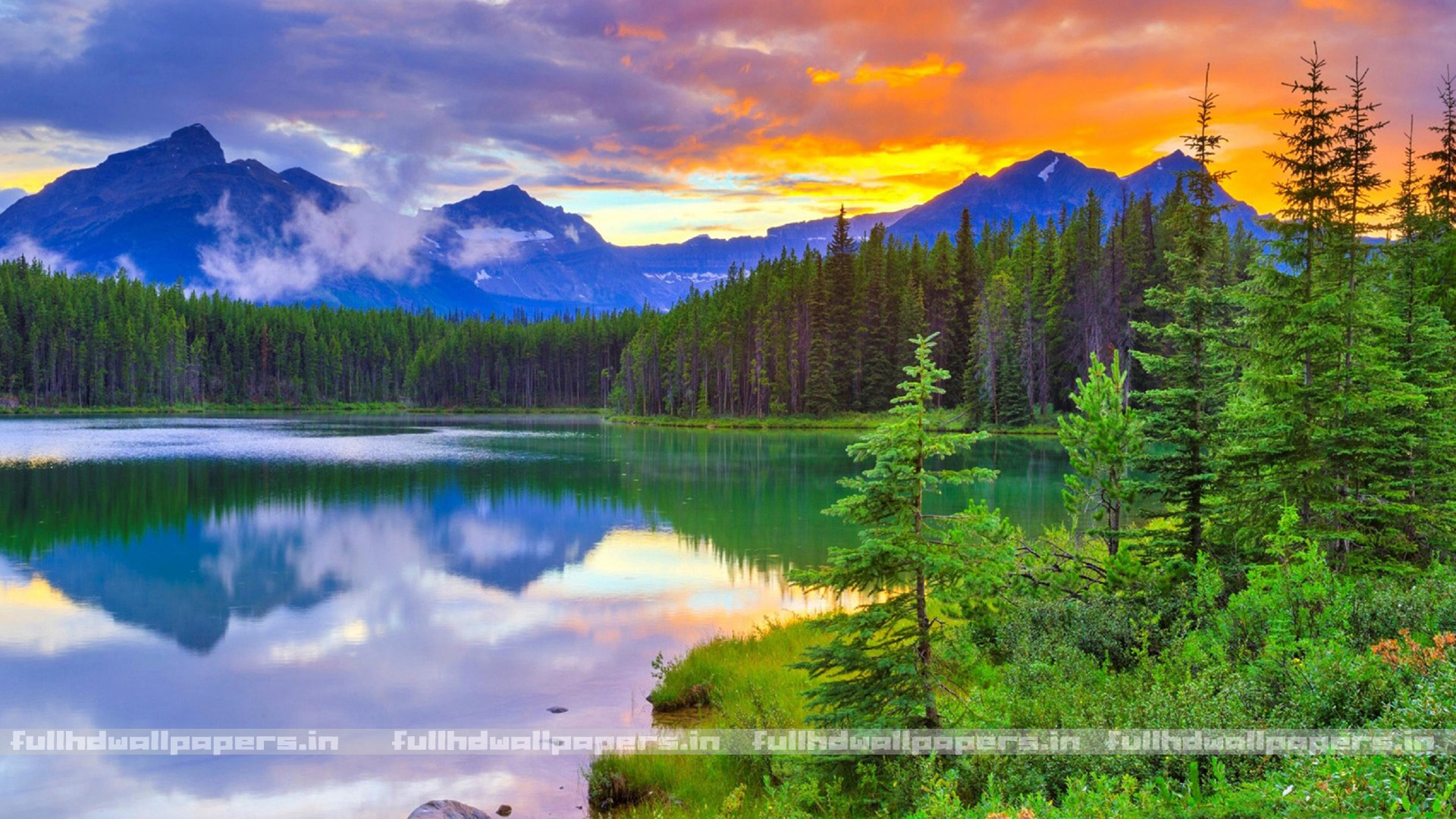 Colors Of Nature Full HD Wallpaper