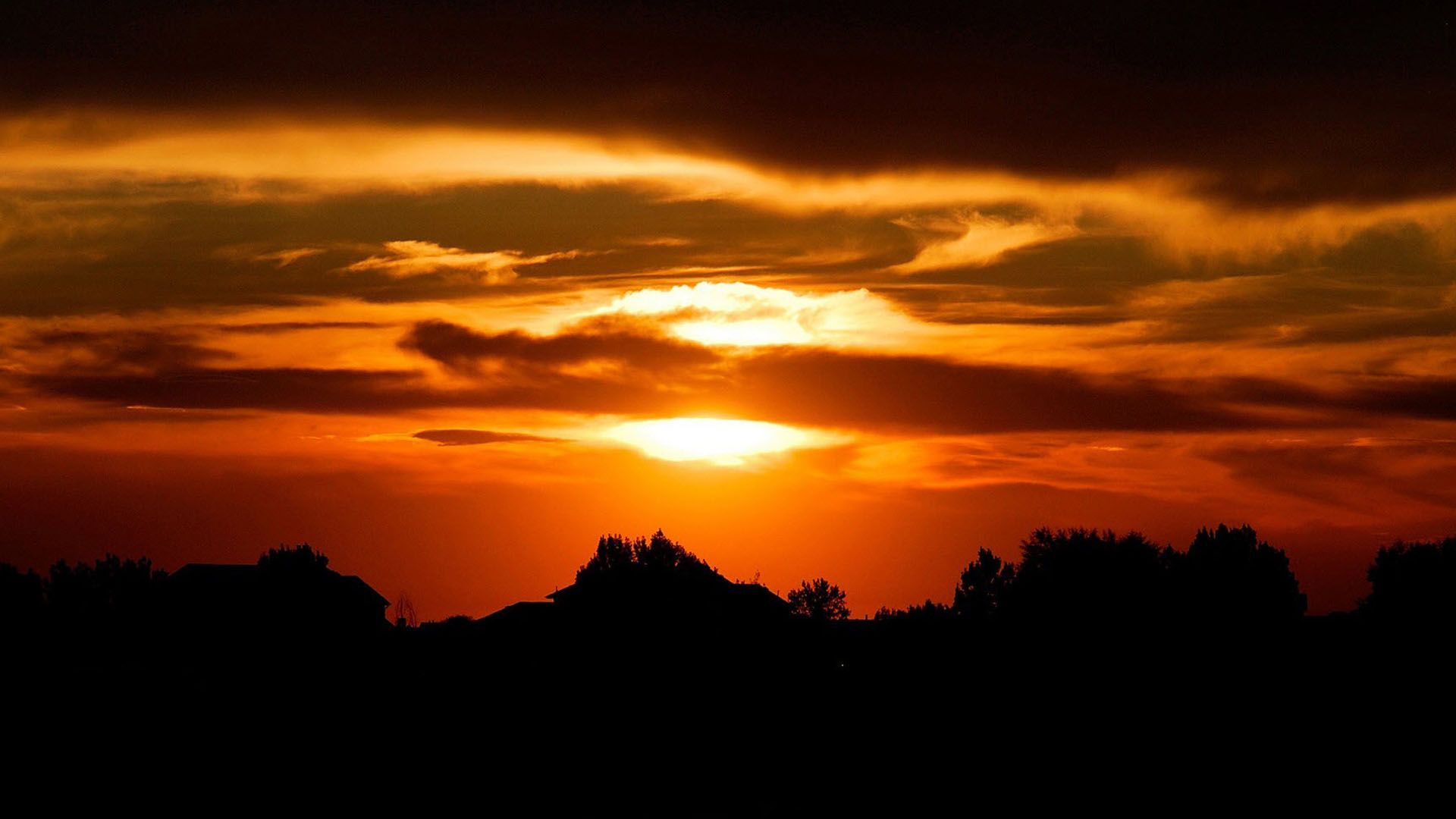 HD Wallpaper 1080p Catus In The Sunset Beautiful