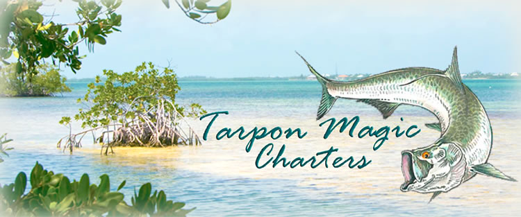 Fishing Charters Guide In Tybee Island Tattoo Design Bild