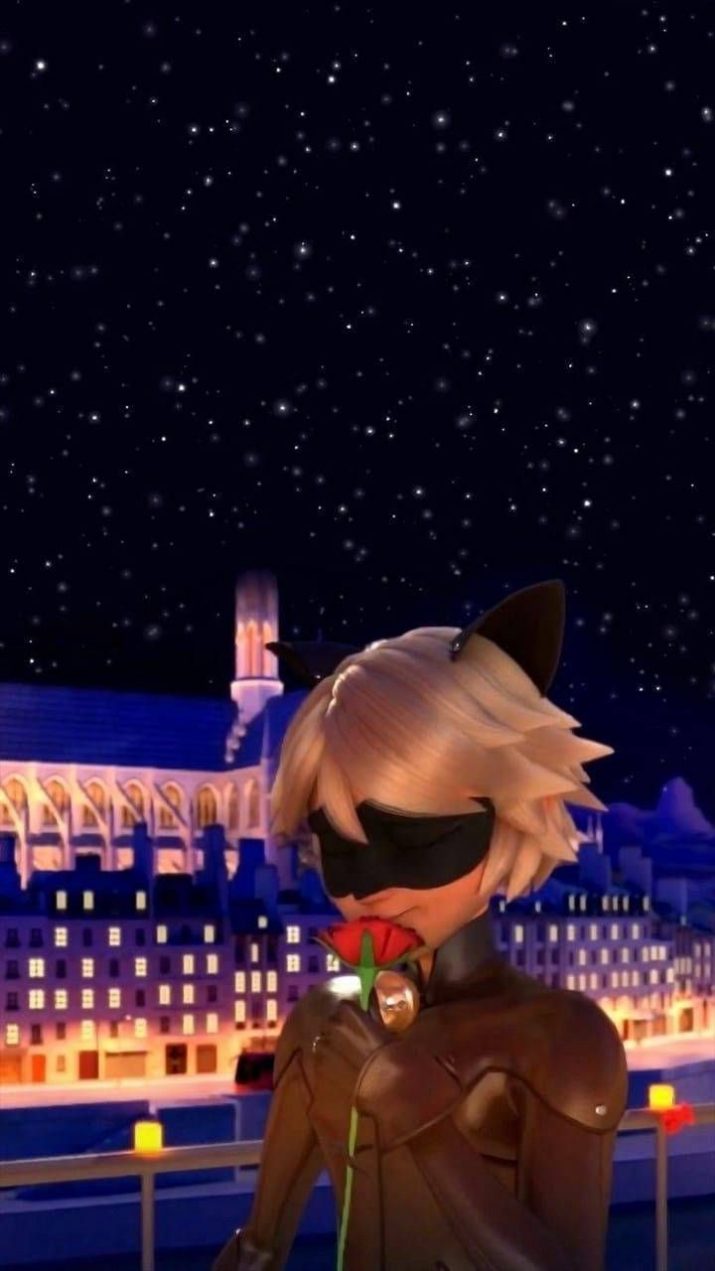 Cat Noir Wallpaper