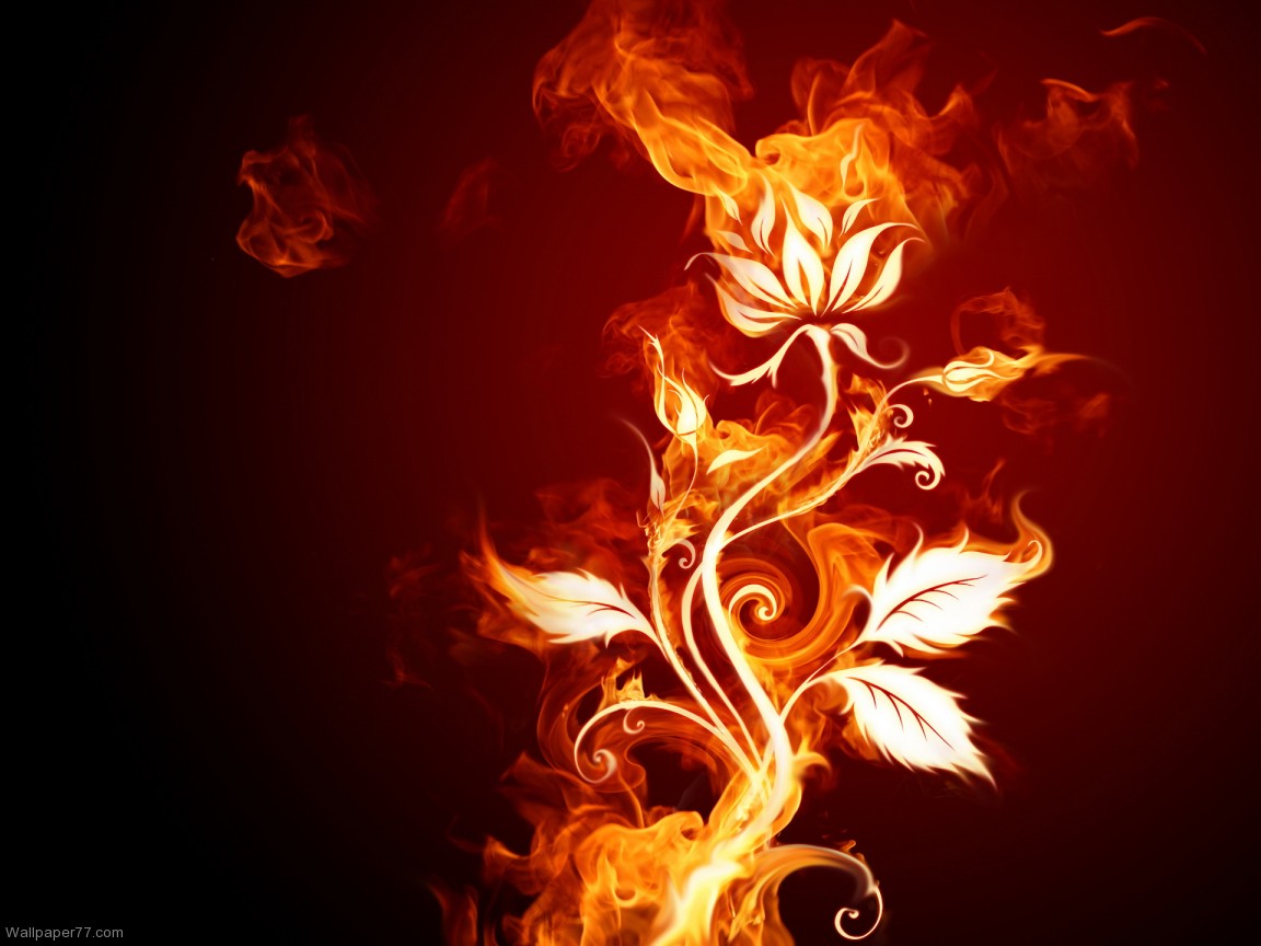 Fire Flower Pixels Wallpaper Tagged Abstract