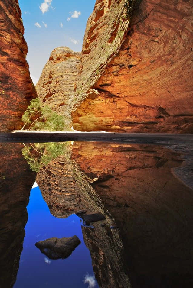 Breathtaking S Of Blue Mountains National Park Wallpaper