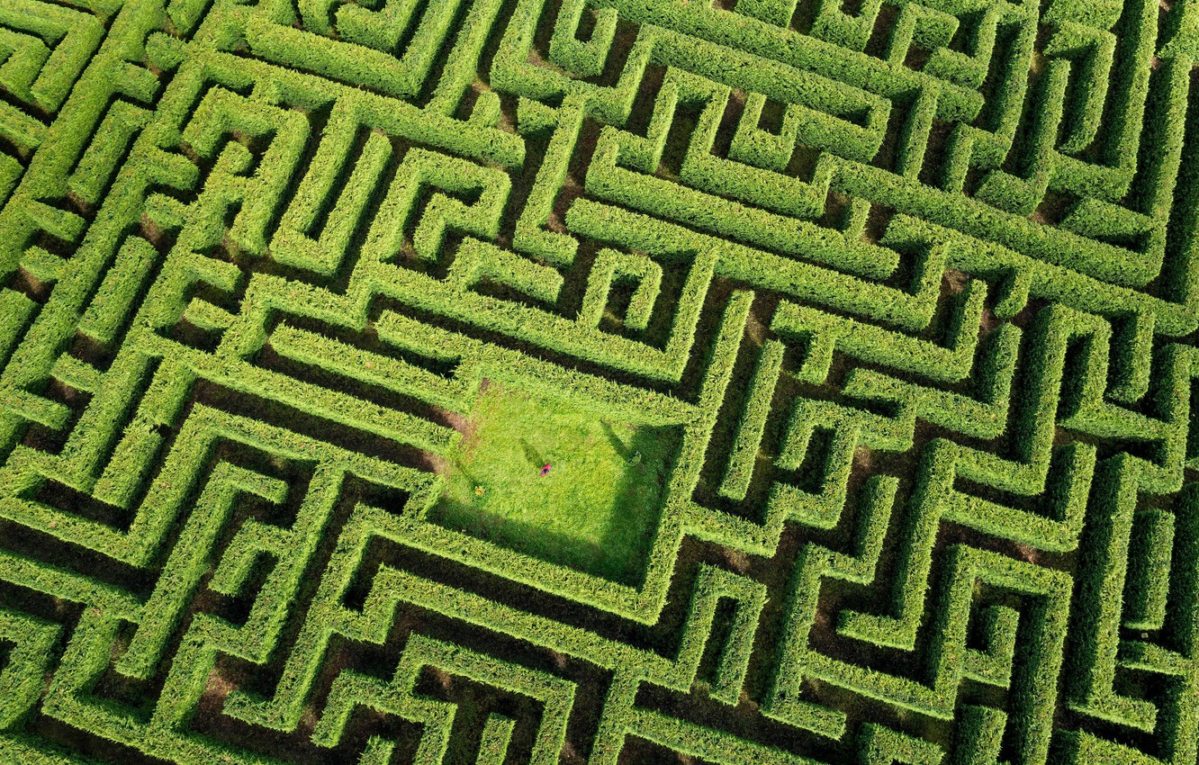 Wallpaper Green Plants Person Labyrinth Image For Desktop