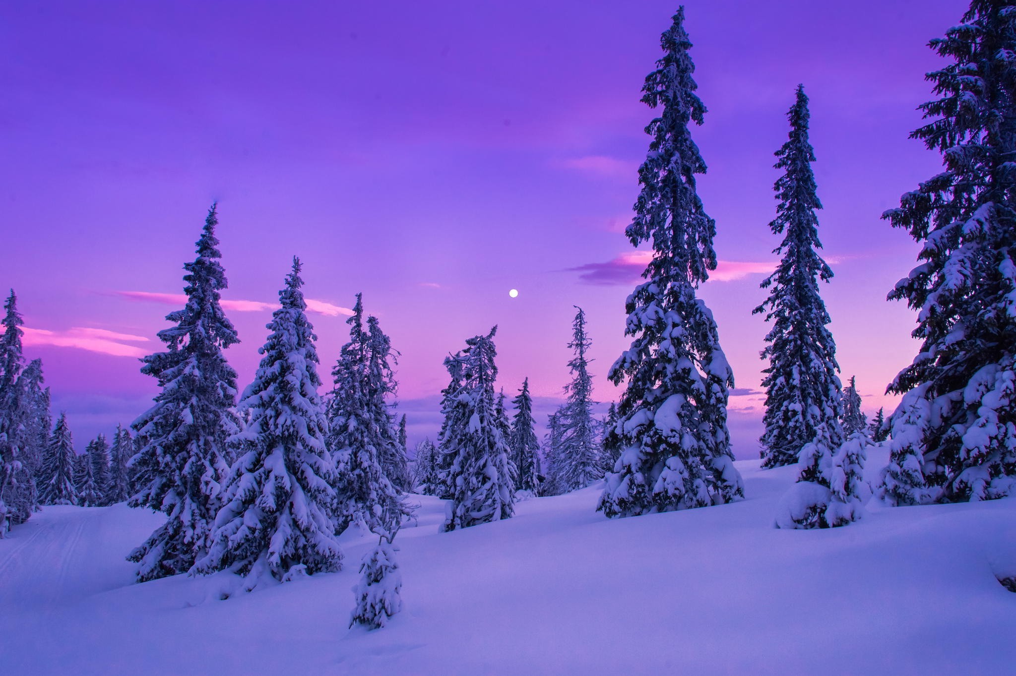 Winter Snowflake Wallpaper