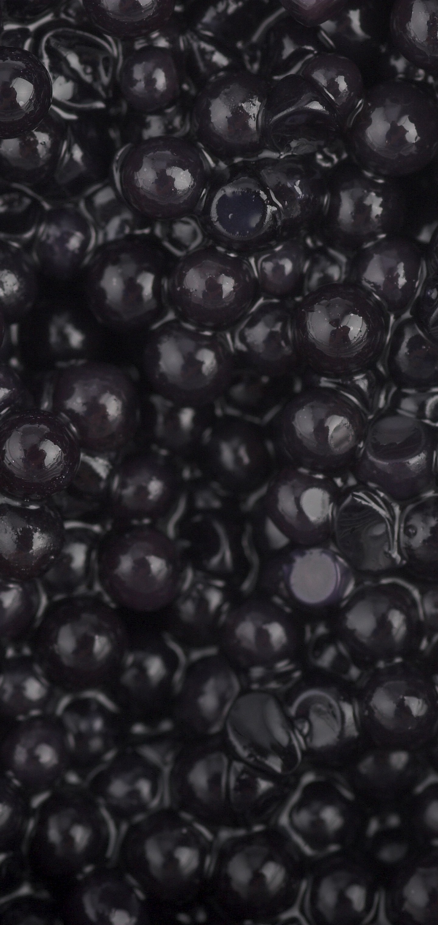 Black Caviar Granular Wallpaper