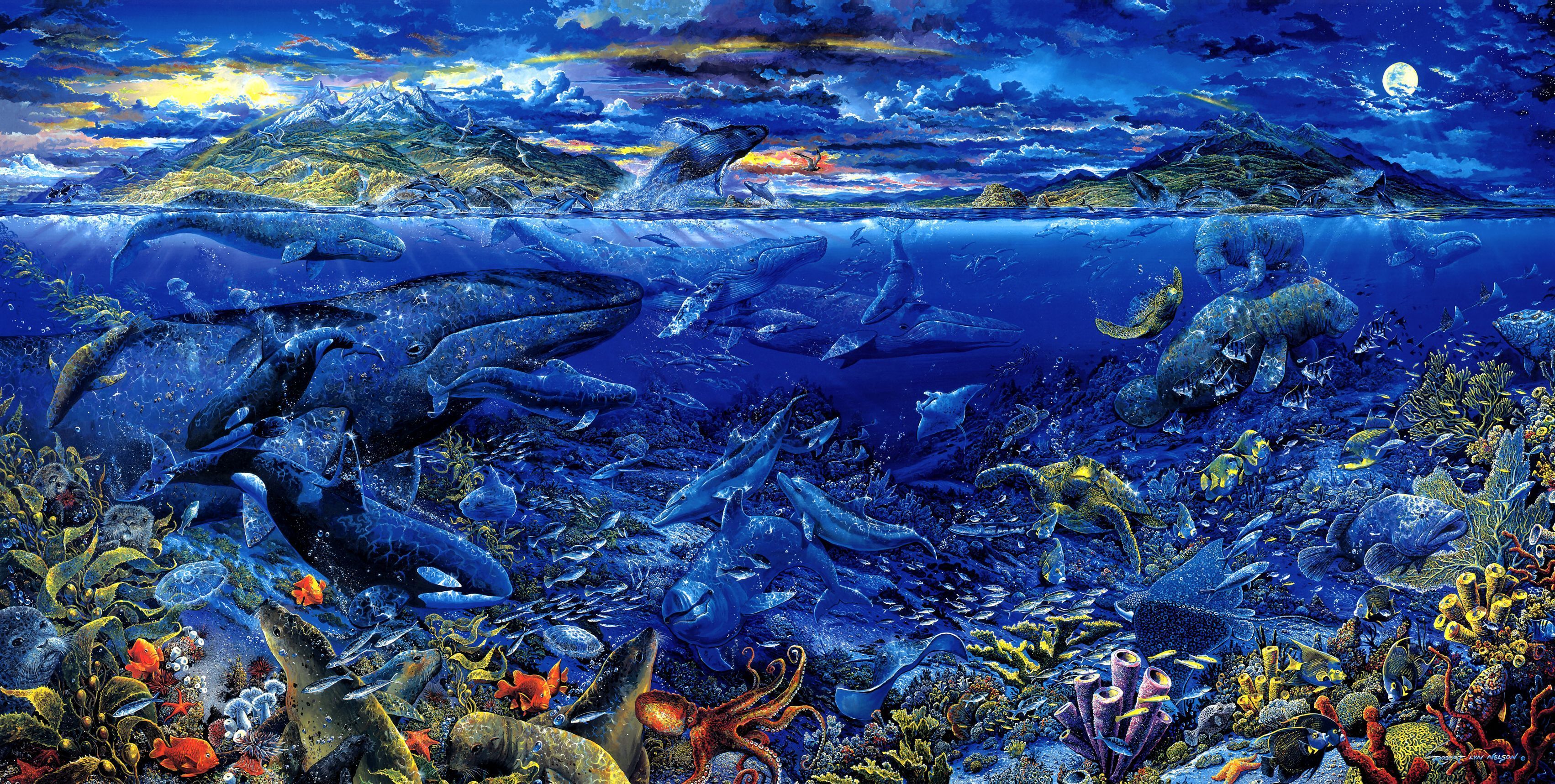 Animal Sea Life Artistic Whale Fish Ocean Fantasy Wallpaper