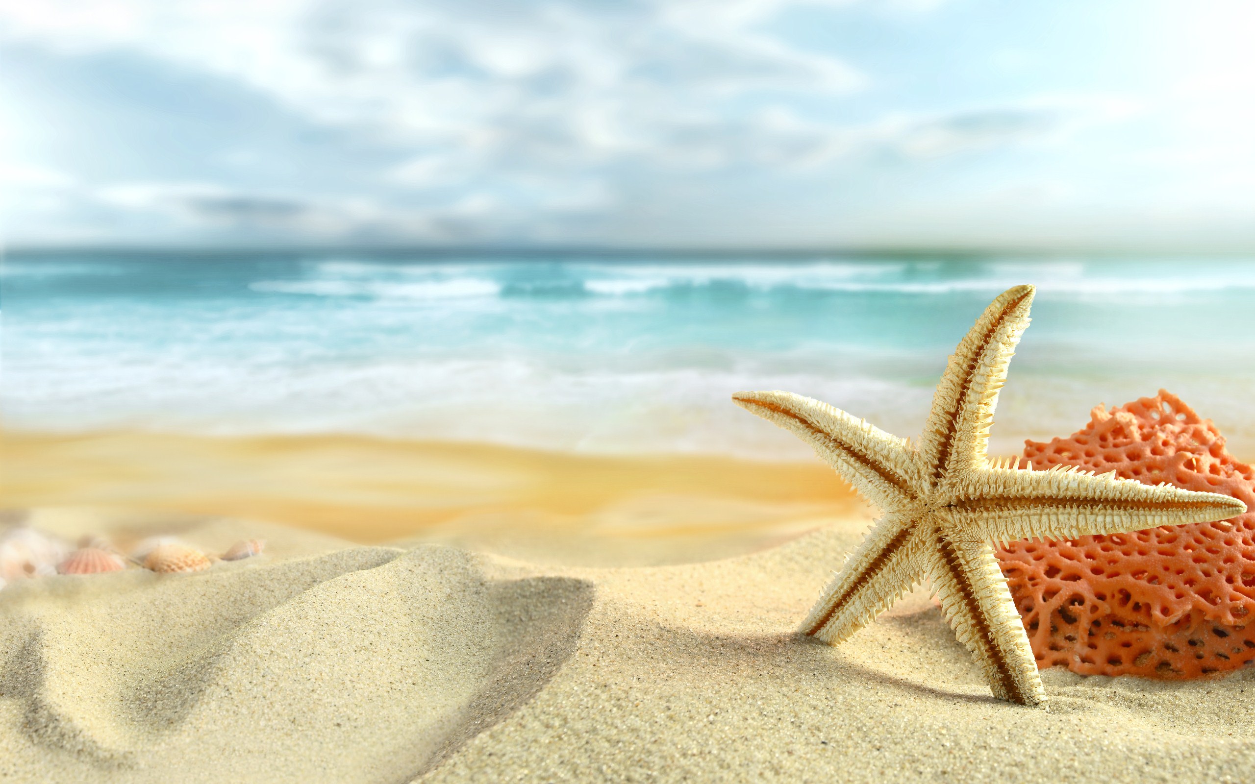 A starfish and coral rest on a sandy beach with gentle waves lapping in the background. Perfect for a summer vibe