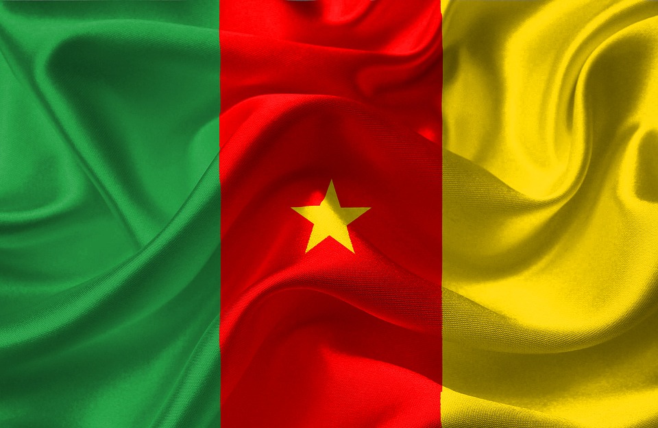 Cameroon Flag National Image On