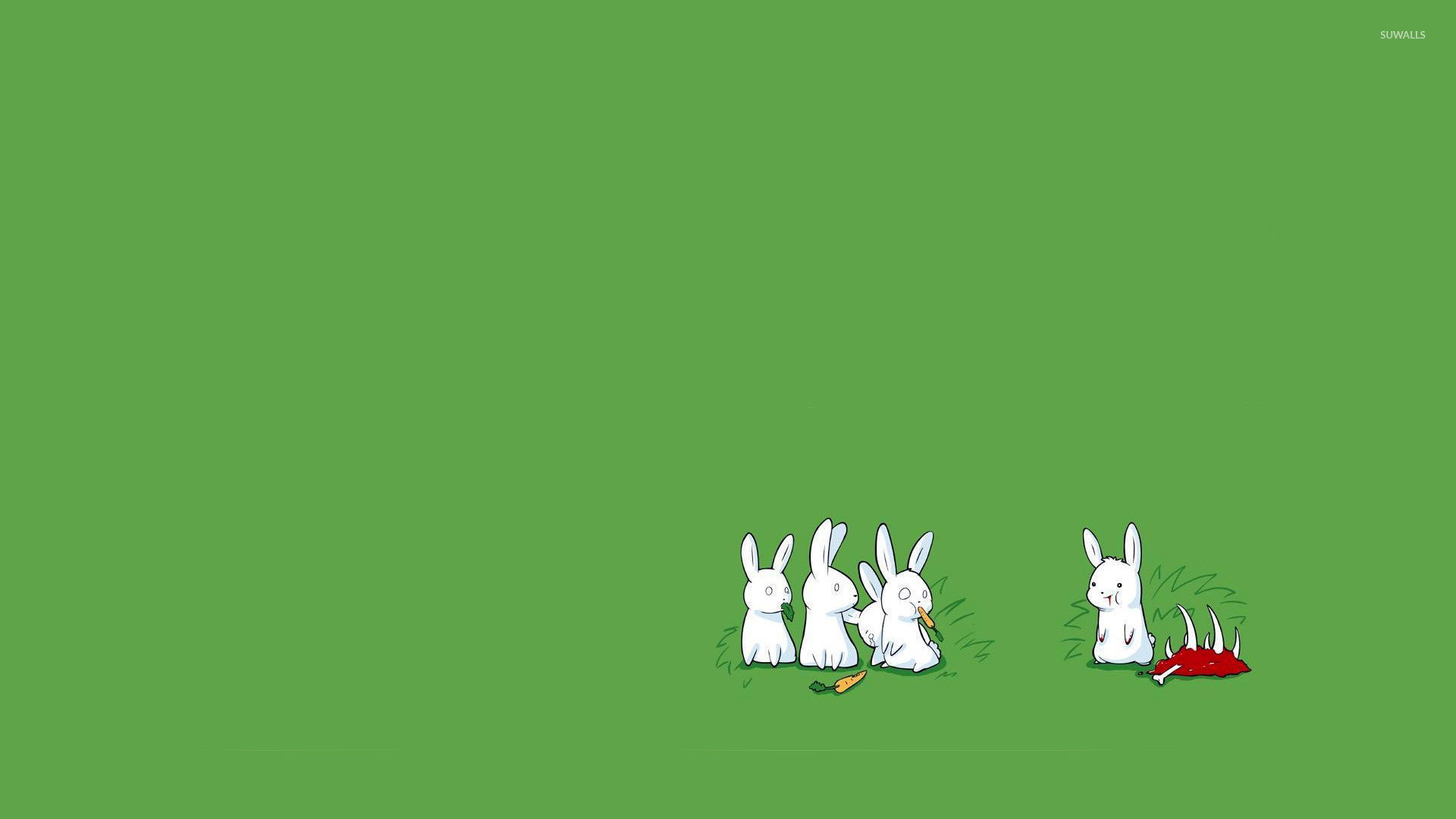 Rabbits Wallpaper Funny