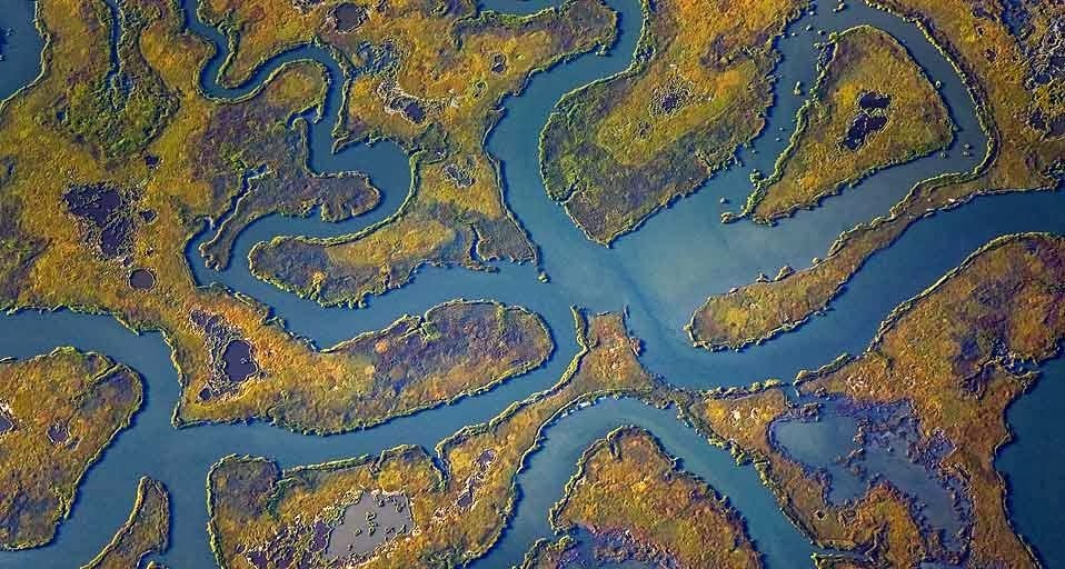 Waterways In A Salt Marsh On The Cape May Peninsula New Jersey Us