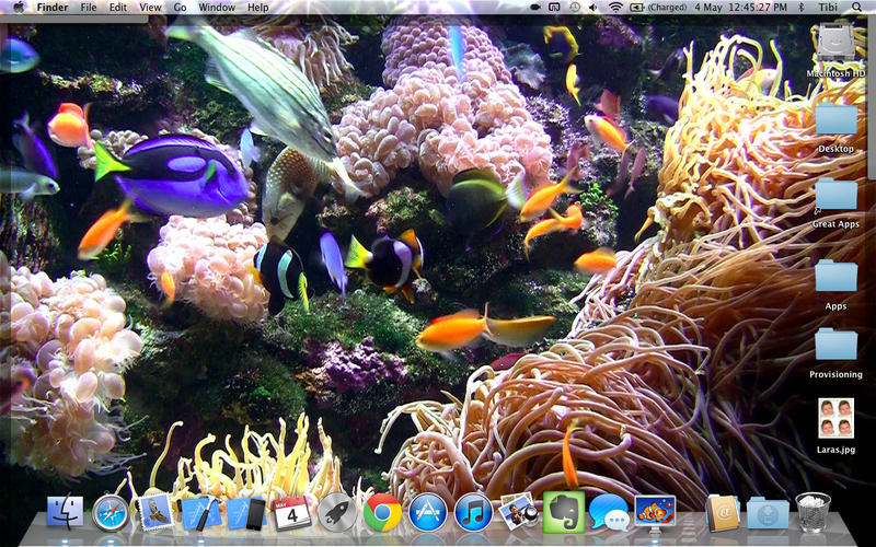 Background Aquarium Relaxing Live Wallpaper Mac