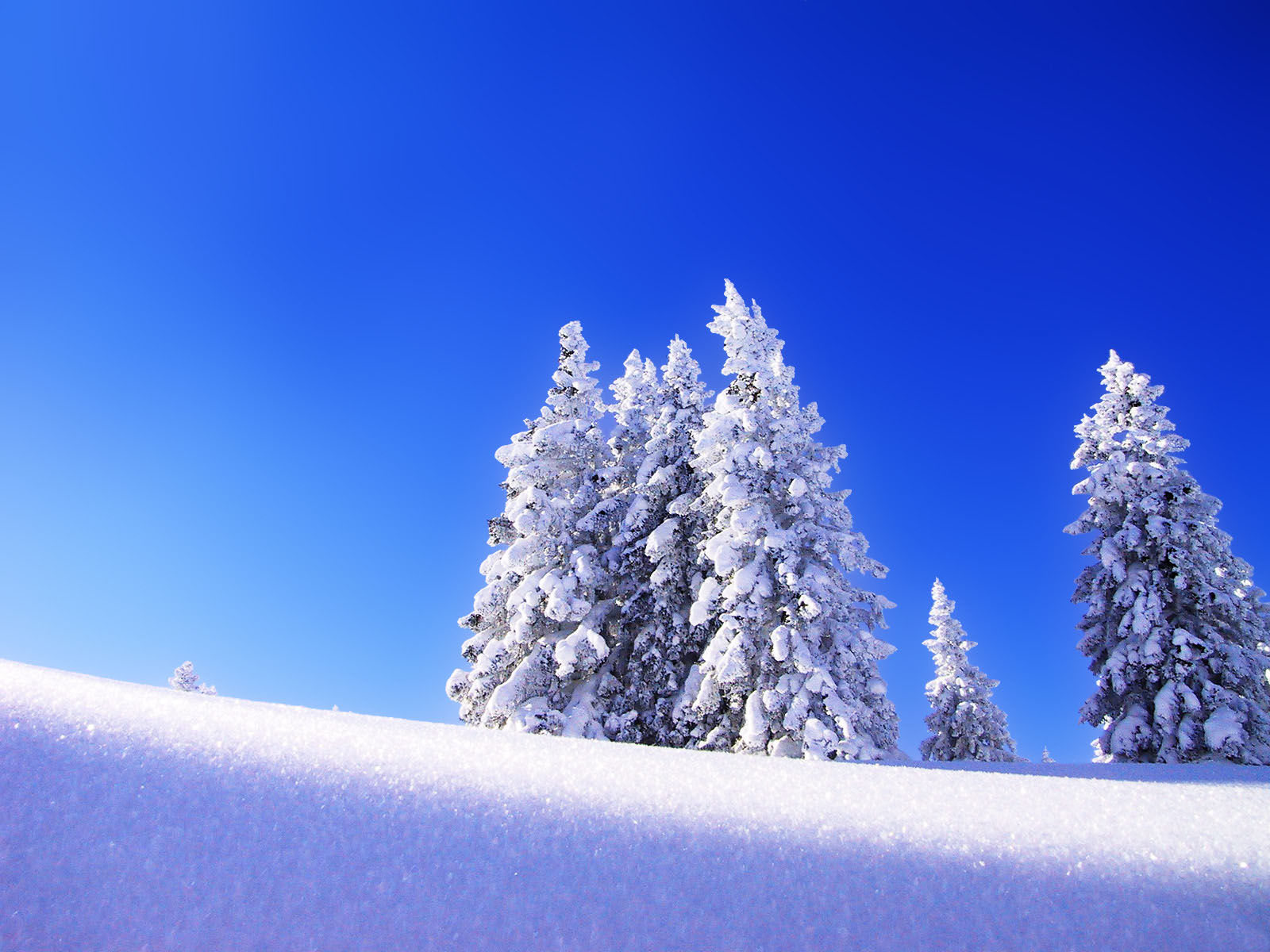 Winter Wallpaper HD For Desktop Computer