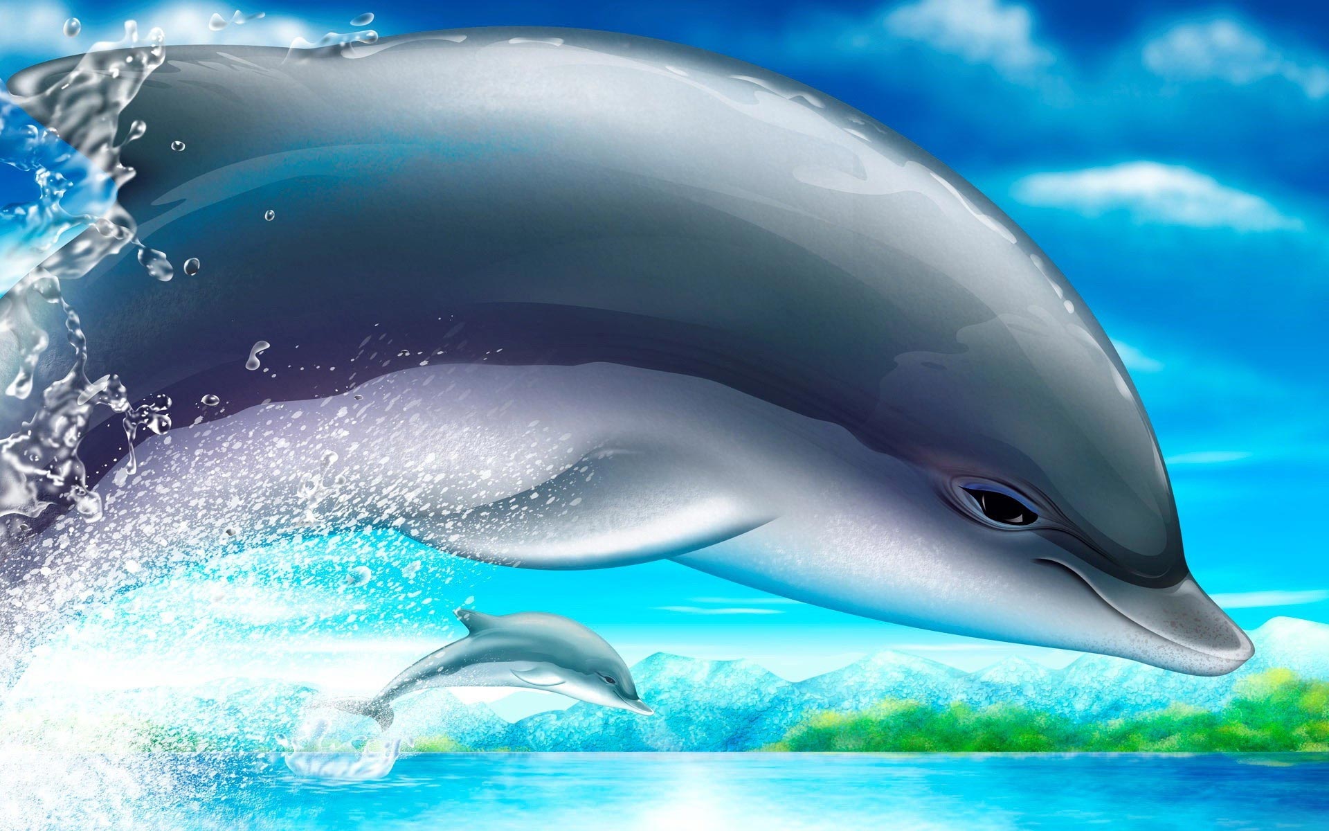 Cute Dolphin Wallpaper HD Background