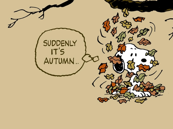 Autumn Snoopy Peanuts Ic Strip Wallpaper