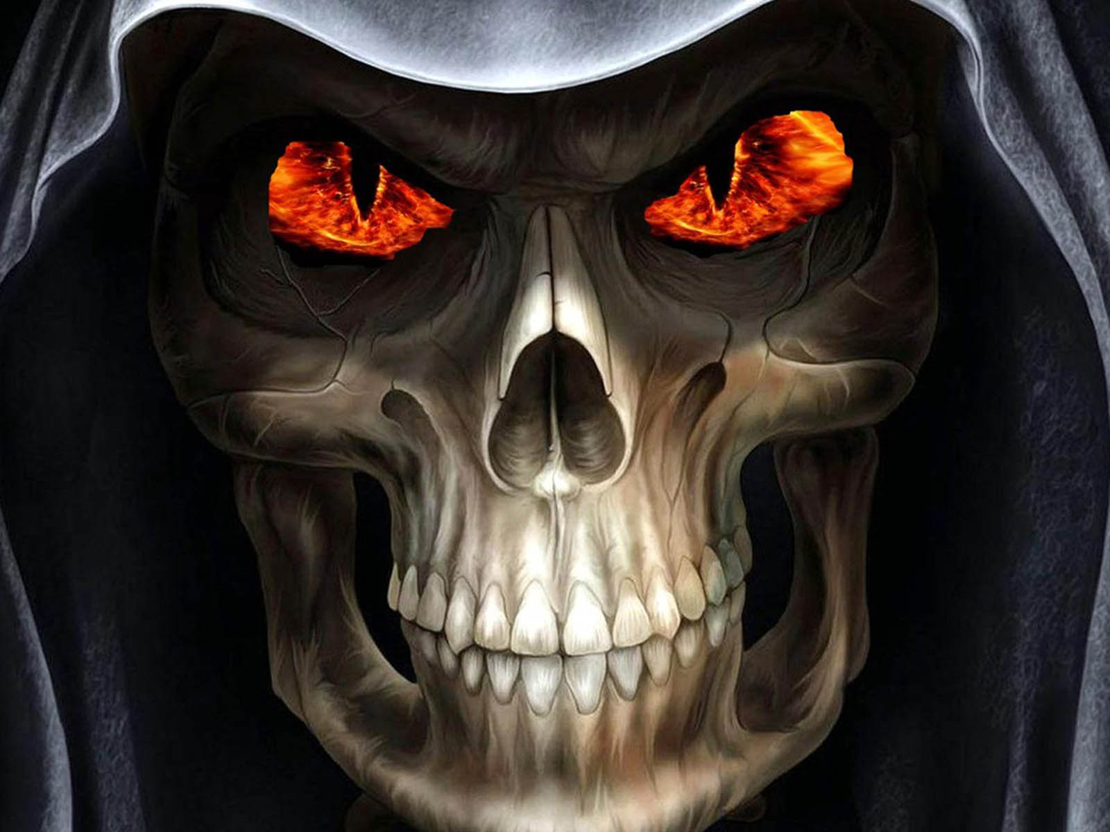 3d Horror Skull HD Wallpaper Disgusting
