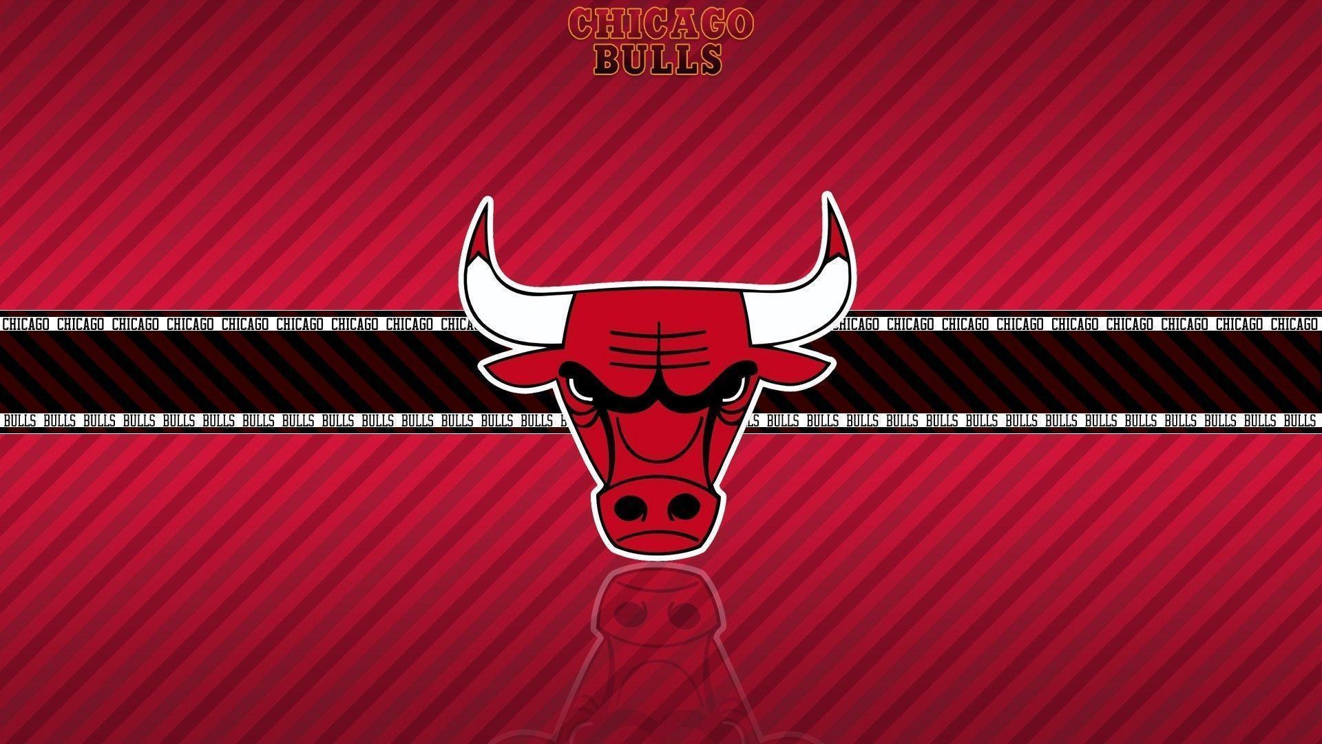 Chicago Bulls Wallpaper HD