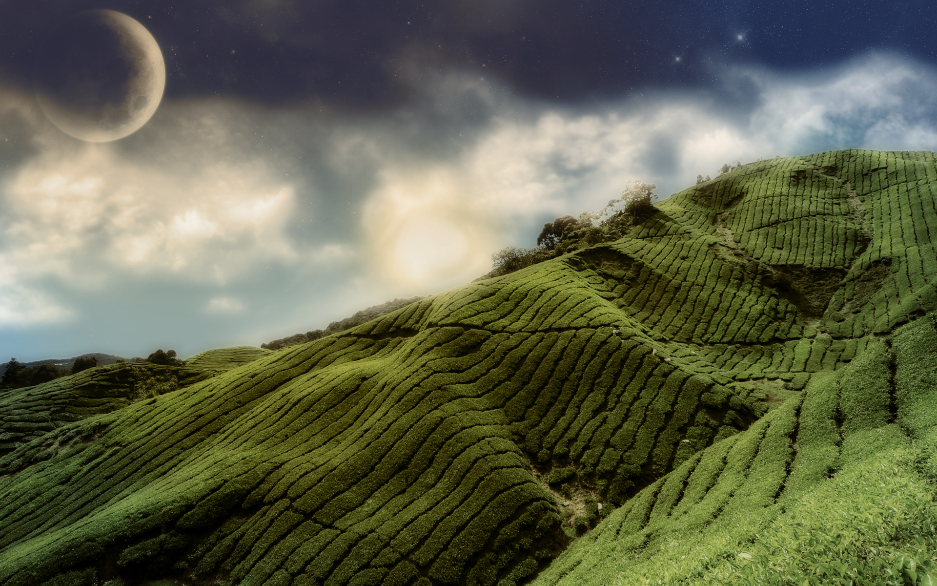 Green Hills Wallpaper Textured Myspace Background