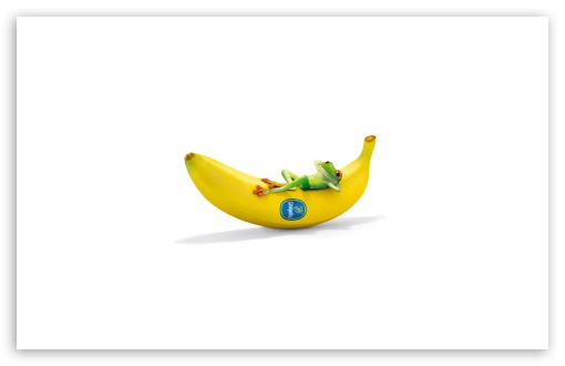 Chiquita With Frog Funny HD Wallpaper For Standard Fullscreen