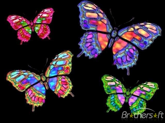 Animated Image Of Butterflies For Theme