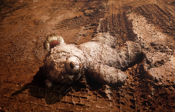 Wallpaper Teddy Bear Toy Road Mood Miscellanea