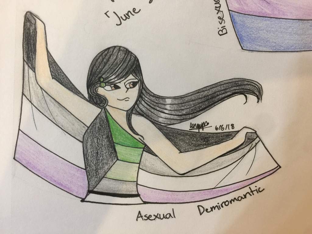 Asexual Demiromantic Pride Miraculous Amino