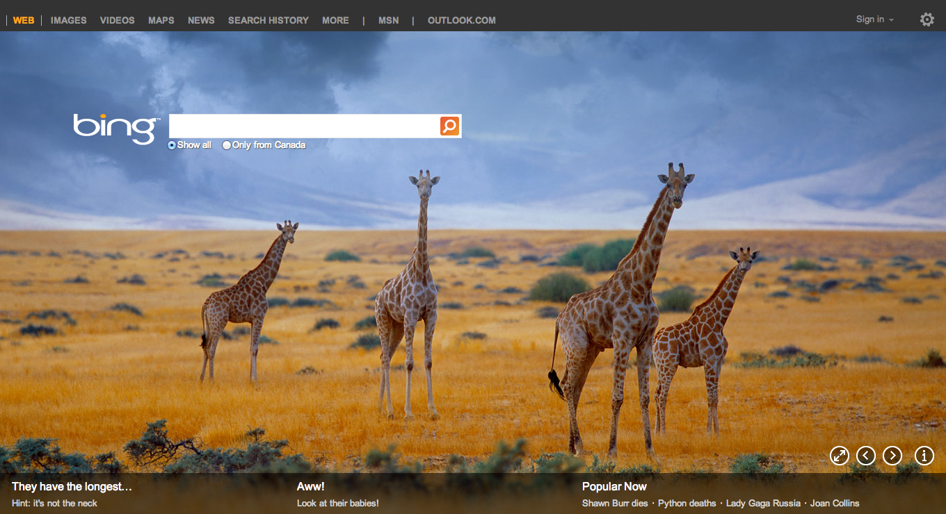 500px Bing Showcasing World Class Photography Together