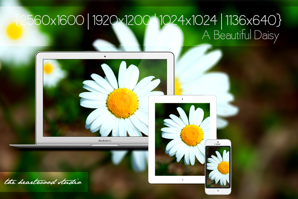 Wallpaper Photo National Html
