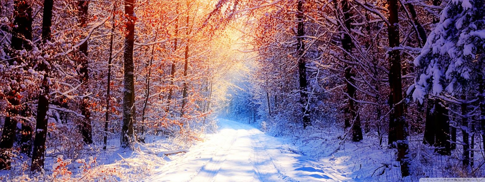 Winter Widescreen Wallpaper Wide Is Cool Wallpapers Winter cover